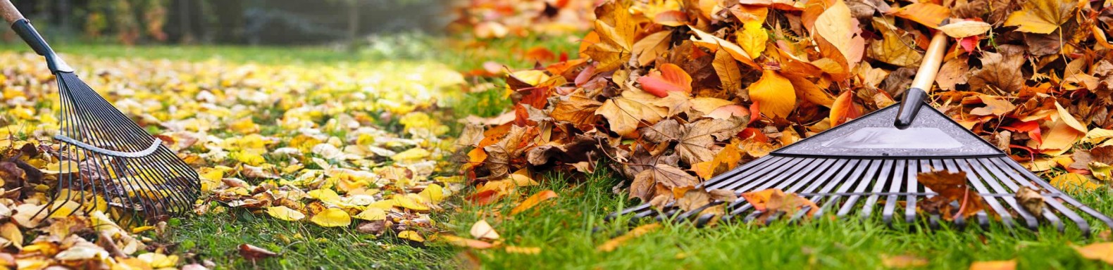 Leaf Rakes